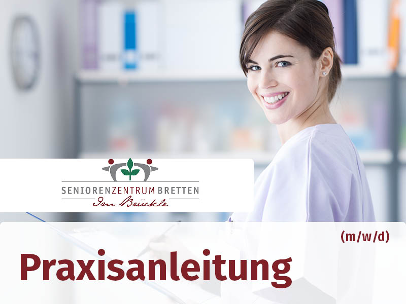 APB Praxisanleitung